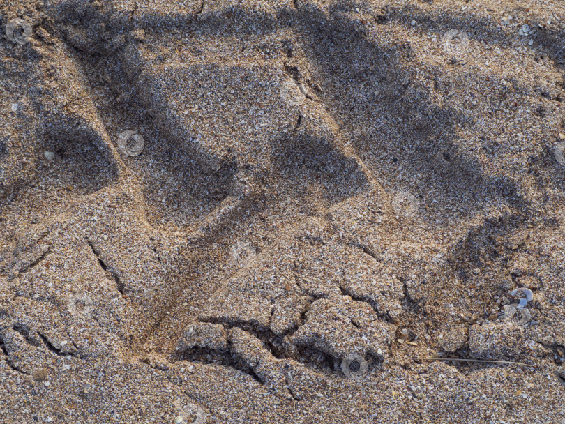 Скачать Следы протектора автомобиля на песке крупным планом - естественный фон. Текстура песка на пляже со следами протектора крупным планом. Песчаный текстурированный фон фотосток Ozero