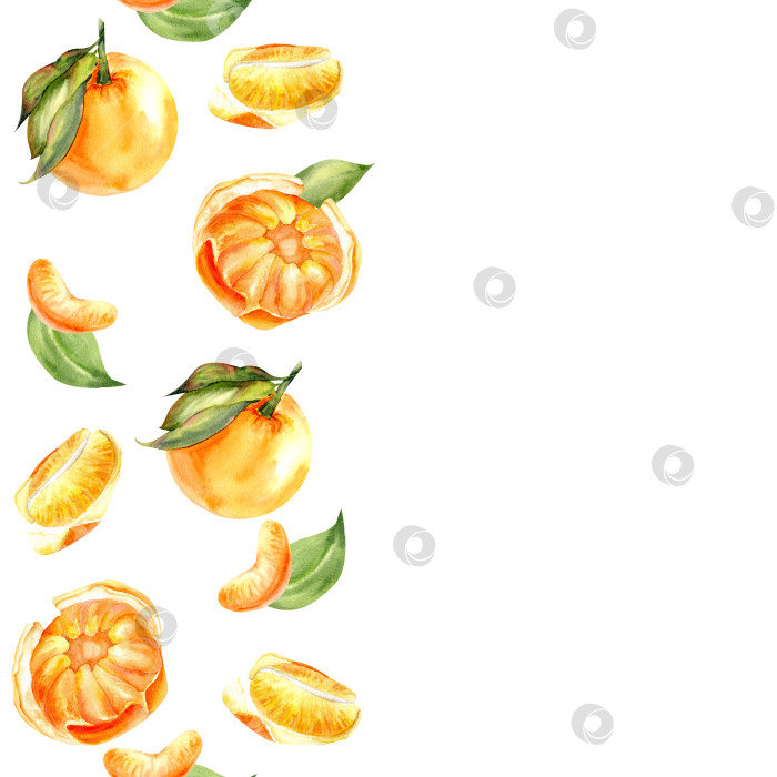 Скачать Акварельные оранжевые мандарины с бесшовной каймой. Салат из цитрусовых с мандаринами, дольками мандаринов, зелеными листьями. Иллюстрация изолированной еды для дизайна упаковки ресторана, кафе, коктейля, сока фотосток Ozero