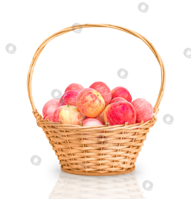 Скачать Красные яблоки в корзине фотосток Ozero