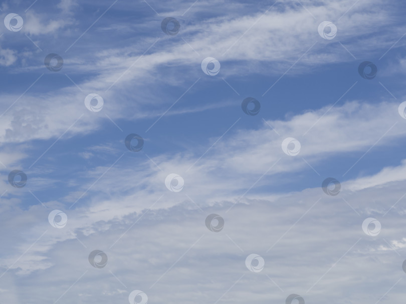 Скачать Фон неба - голубое небо с белыми облаками. Перистые облака на голубом небе летом в качестве фона фотосток Ozero