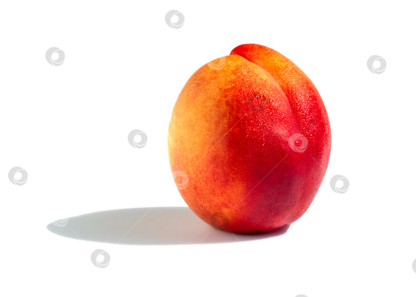 Скачать Желто-красный спелый персик в каплях воды на белом фоне фотосток Ozero