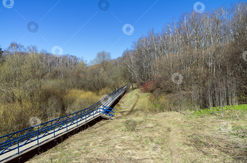 Скачать Пешеходный мост через болотистый овраг. фотосток Ozero