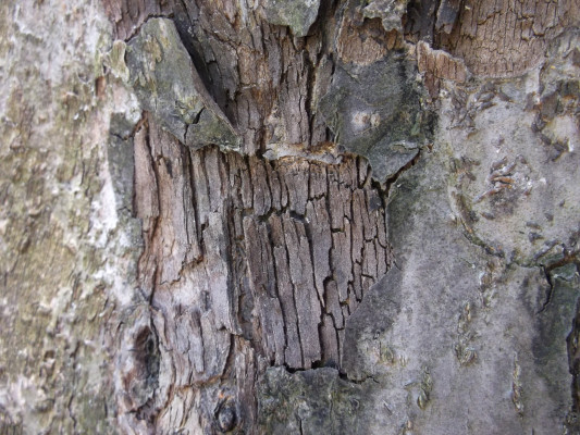 [object Object] undefined