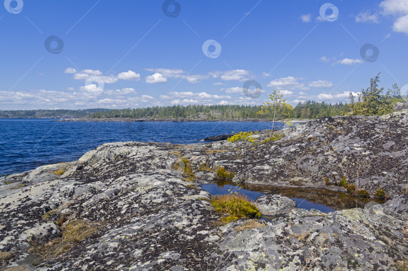 Скачать Прибрежные скалы на Ладожском озере. фотосток Ozero