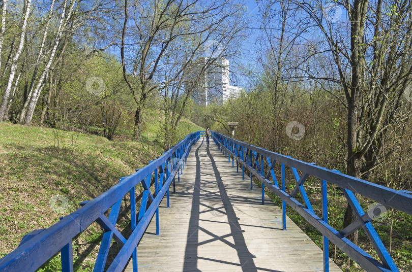Скачать Пешеходный мост через болотистый овраг. фотосток Ozero