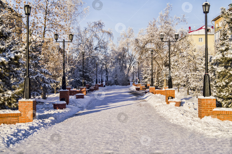 Скачать Небольшая площадь с видом на сибирский город Омск зимой фотосток Ozero