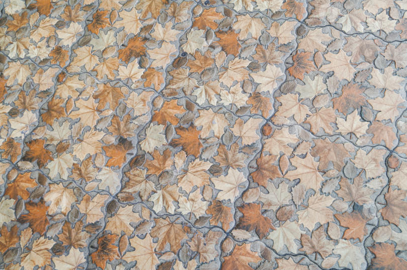 Скачать Каменный пол с осенними листьями фотосток Ozero