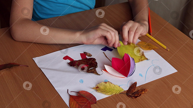 Скачать Руки ребенка делают поделку из осенних листьев в подарок. Детское творчество фотосток Ozero