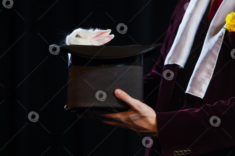 Скачать Маленький кролик в шляпе фокусника на черном фоне фотосток Ozero