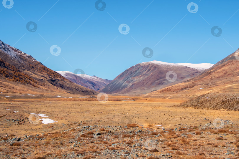 Скачать Пустынный пейзаж. Живописный степной осенний пейзаж с заснеженными горами, степями с редкой растительностью на фоне голубого неба. фотосток Ozero