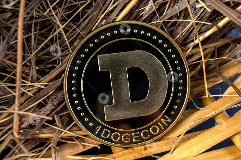 Скачать Dogecoin криптовалюта DOGE платежное средство в финансовом секторе фотосток Ozero
