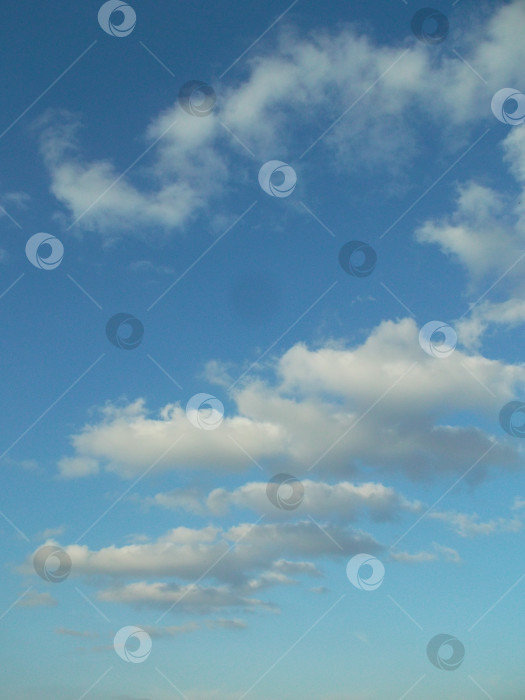 Скачать голубое небо с облачками. вертикальное фото фотосток Ozero
