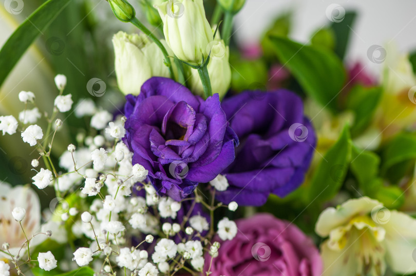 Скачать Крупным планом красивые фиолетовые цветы лизиантуса в букете фотосток Ozero