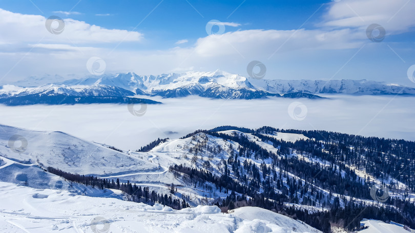 Скачать Зима в горах. Роза Хутор, Сочи, Россия фотосток Ozero