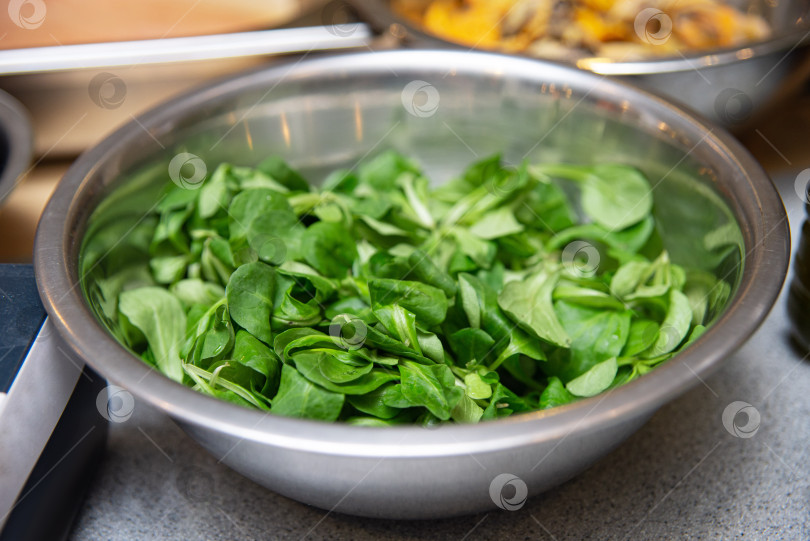 Скачать Листья салата из свежей зеленой кукурузы в миске из нержавеющей стали на кухонном столе фотосток Ozero