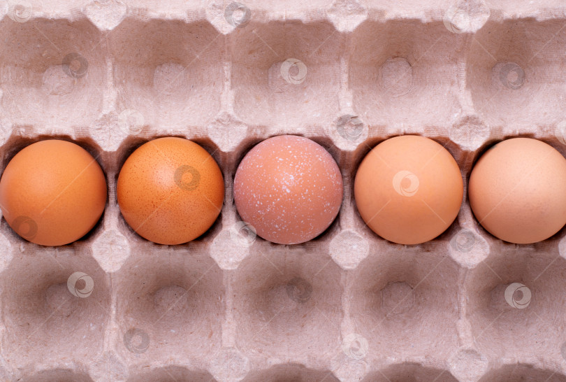 Скачать Сырые куриные яйца с разными оттенками скорлупы в картонной коробке. фотосток Ozero