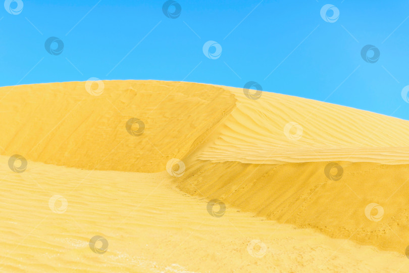 Скачать Песчаные дюны в селективном фокусе в Астраханской пустыне, Россия. Дикая пустыня. фотосток Ozero
