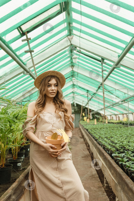 Скачать Красивая молодая женщина ухаживает за растениями в теплице. Концепция садоводства и экологически чистого образа жизни. фотосток Ozero