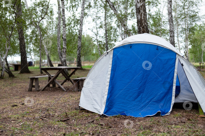 Скачать Женщина ставит палатку в лесу фотосток Ozero