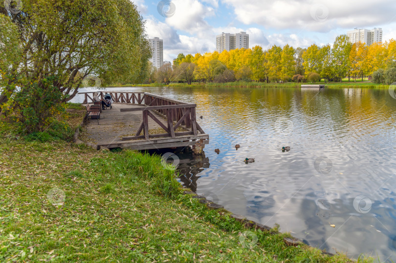 Скачать Городской пруд в Южном Бутово фотосток Ozero