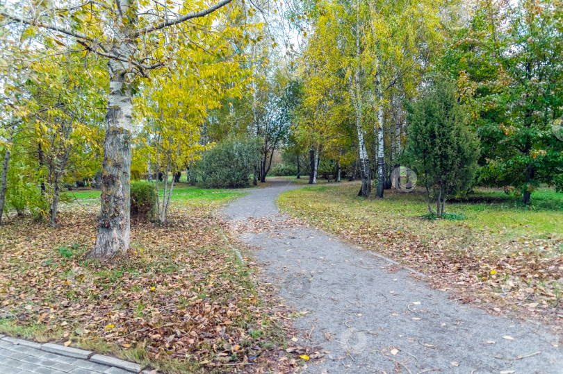 Скачать Аллея в городском парке фотосток Ozero