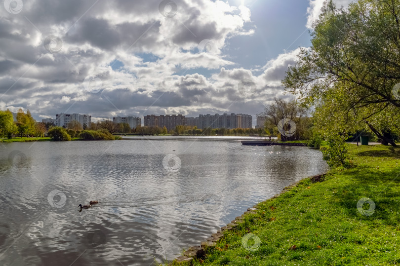 Скачать Берег городского пруда фотосток Ozero