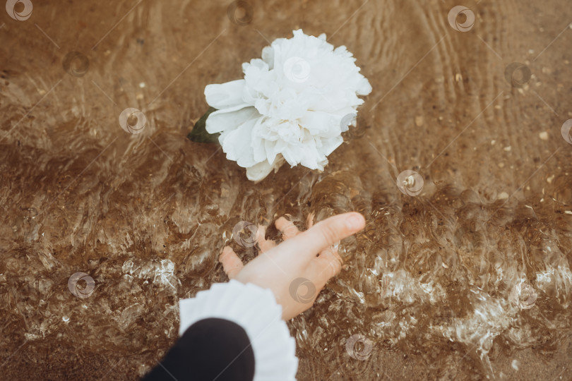Скачать Белый пион. Девушка пускает цветы плавать по реке фотосток Ozero