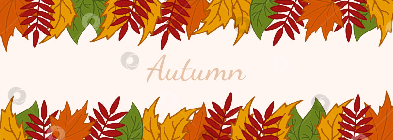 Скачать Горизонтальный баннер "Осенние листья". Векторная иллюстрация листьев осины, березы, клена, рябины. фотосток Ozero