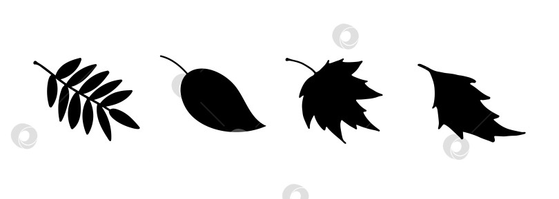 Скачать Векторный силуэт осенних листьев. Черные листья осины, березы, клена, рябины. фотосток Ozero