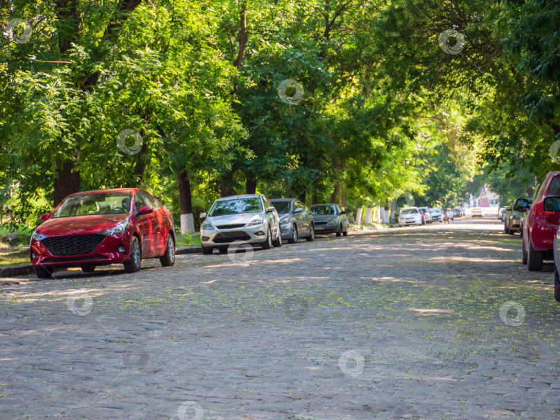 Скачать Припаркованные машины в тени деревьев на мощеной улице. Городская аллея фотосток Ozero