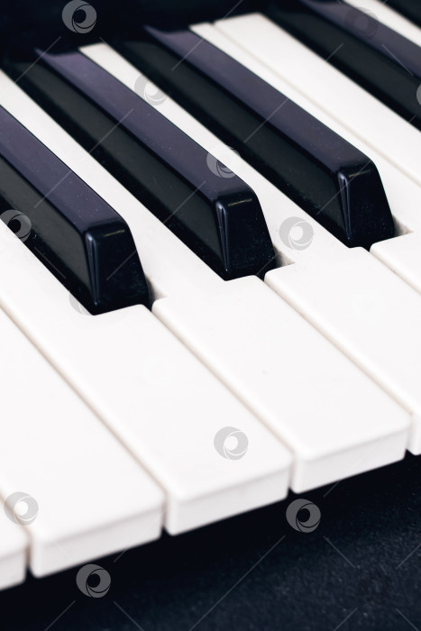 Скачать Белые и черные клавиши пианино крупным планом фотосток Ozero
