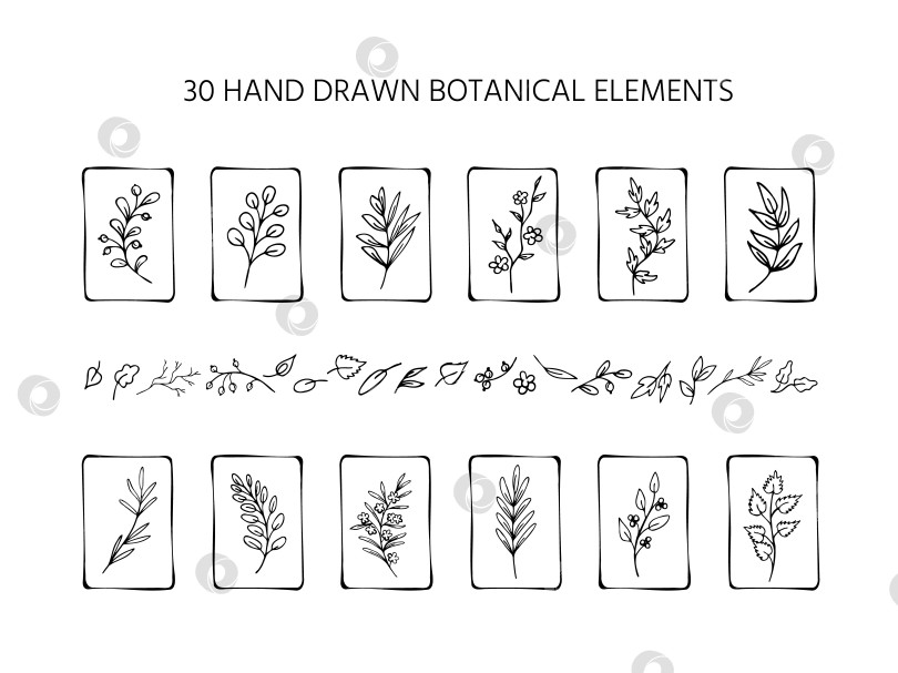 Скачать Набор нарисованных от руки черно-белых листьев, веточек, ответвлений. Коллекция обрамленных ботанических элементов фотосток Ozero