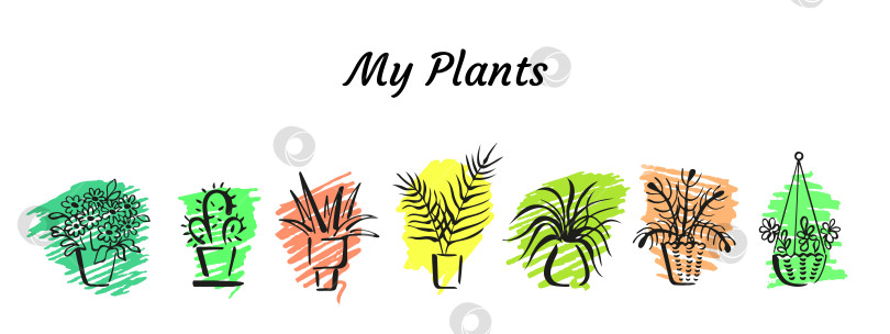 Скачать Нарисуйте кистью каллиграфические наброски комнатных растений в горшках красочными штрихами маркера. Каракули на баннере или заголовке фотосток Ozero