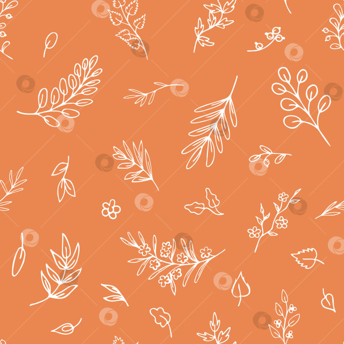 Скачать Белые очертания листьев, веточек, трав на фоне персикового цвета. Нарисованный вручную бесшовный узор для печати на бумаге, ткани фотосток Ozero