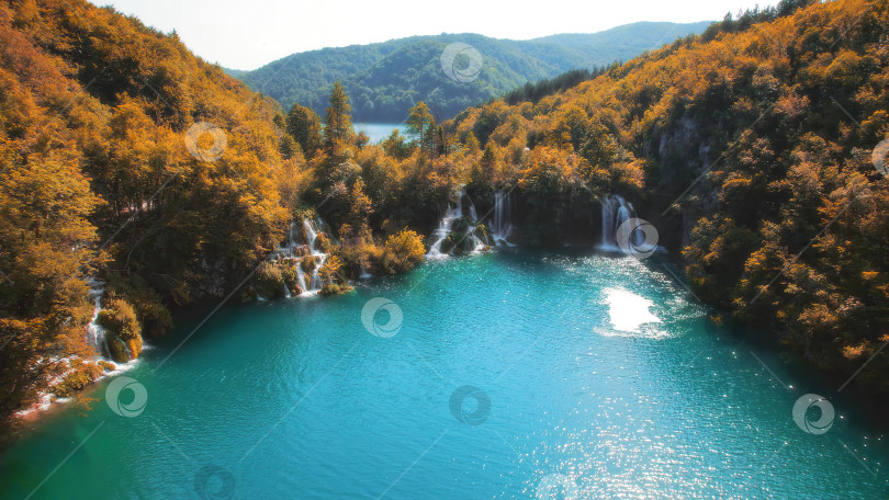 Скачать Река разливается потоками водопадов в осеннем лесу. Вода стекает в озеро. Яркие осенние краски на деревьях на закате. фотосток Ozero