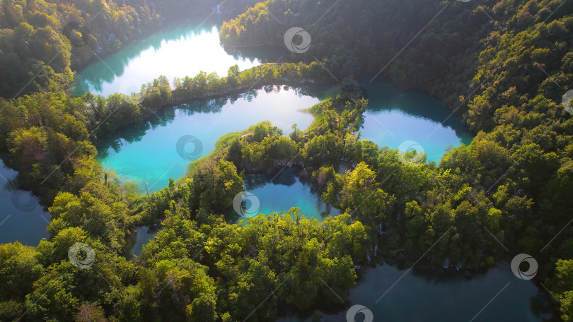 Скачать Горное озеро и густой лесной пейзаж летом и ранним осенним солнечным утром. Искрится прозрачная свежая бирюзовая вода. фотосток Ozero