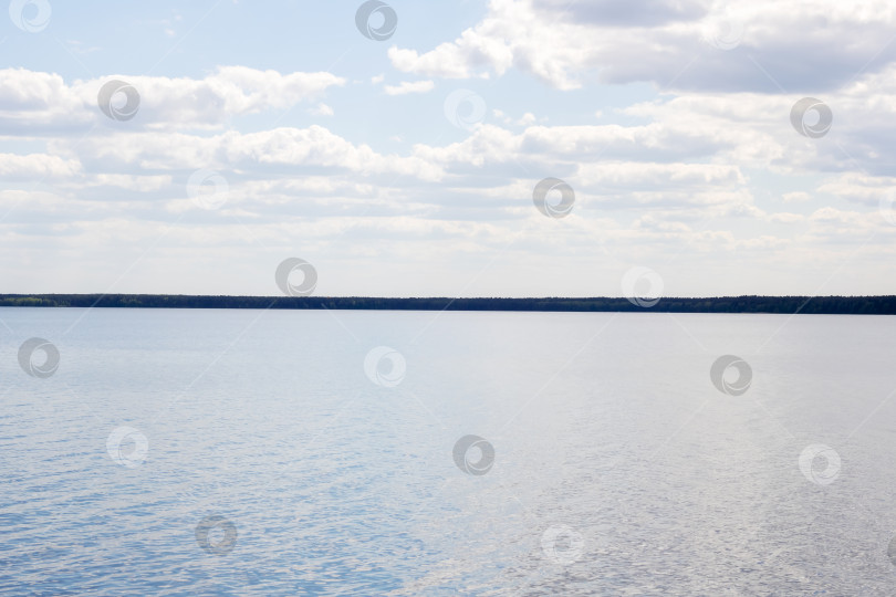 Скачать Чайки на поверхности воды фотосток Ozero