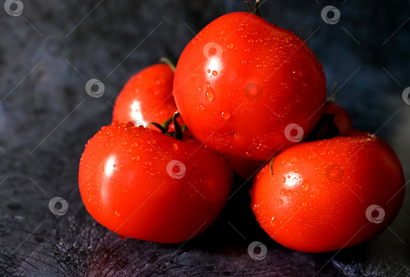Скачать свежие органические помидоры черри на темном фоне фотосток Ozero
