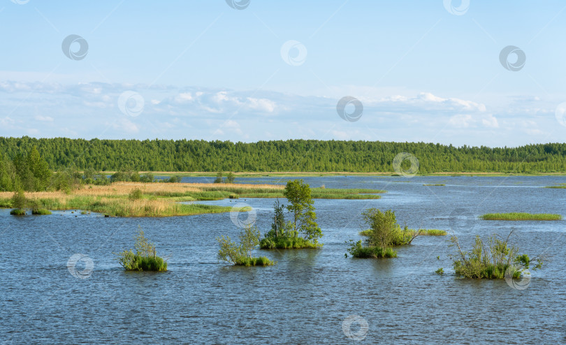 Скачать Водные пейзажи Онежского озера фотосток Ozero