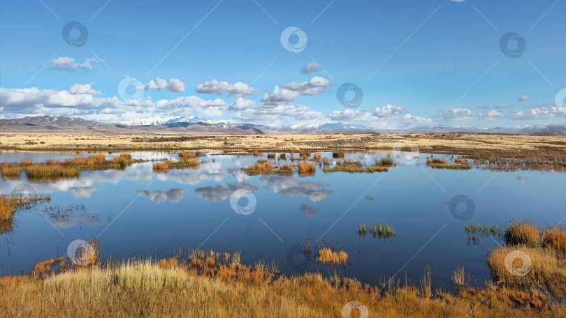 Скачать Панорамный пейзаж в природном заповеднике. Голубая водная гладь, заливные луга с отражением белых кучевых облаков и сухой травы на переднем плане. фотосток Ozero