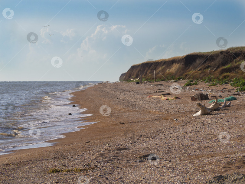 Скачать Пластиковые Отходы Разбросаны По Пляжу. Грязный пляжный пейзаж, полный отходов, без людей. фотосток Ozero