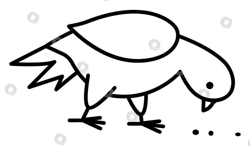 Скачать Голубь клюет семечки. Черно-белая векторная иллюстрация городской птицы. Симпатичный значок линии персонажа или страница-раскраска. Изображение французского символа фотосток Ozero
