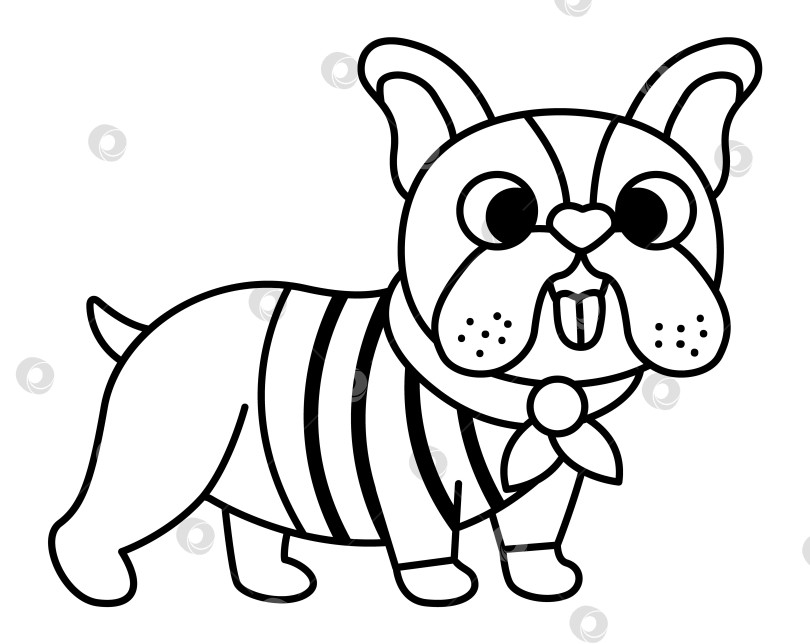 Скачать Бульдог в шарфе и полосатой рубашке. Черно-белая векторная иллюстрация домашних животных. Симпатичный значок персонажа линейной собаки или страница-раскраска. Изображение французского символа фотосток Ozero