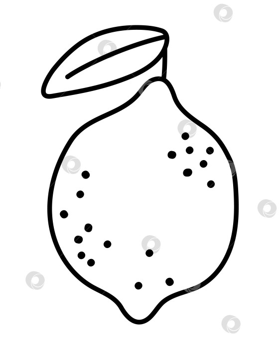 Скачать Векторный черно-белый значок лимона. Иллюстрация линии цитрусовых или раскраска фотосток Ozero