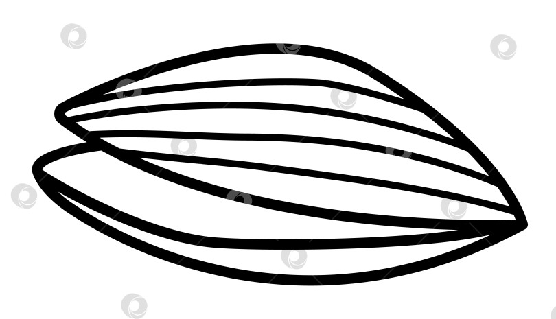 Скачать Вектор открыл иконку линии устрицы. Черно-белая иллюстрация или раскраска традиционной французской кухни фотосток Ozero