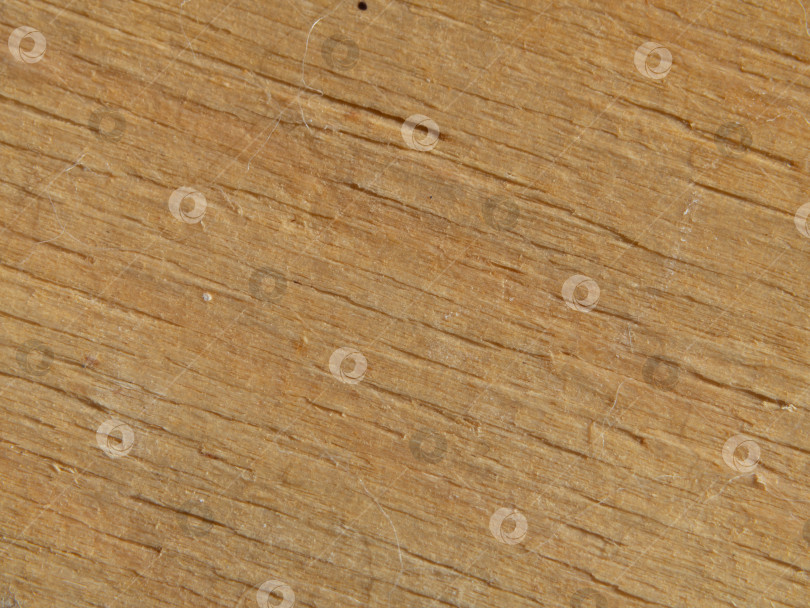 Скачать Естественная текстура дерева. Макро-фон с текстурой деревянной поверхности фотосток Ozero