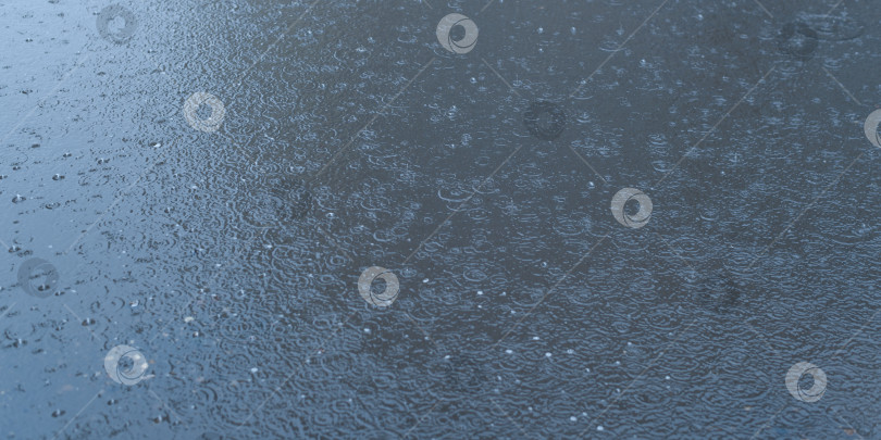 Скачать Лужа во время сильного дождя, темная поверхность воды с каплями дождя на открытом воздухе фотосток Ozero