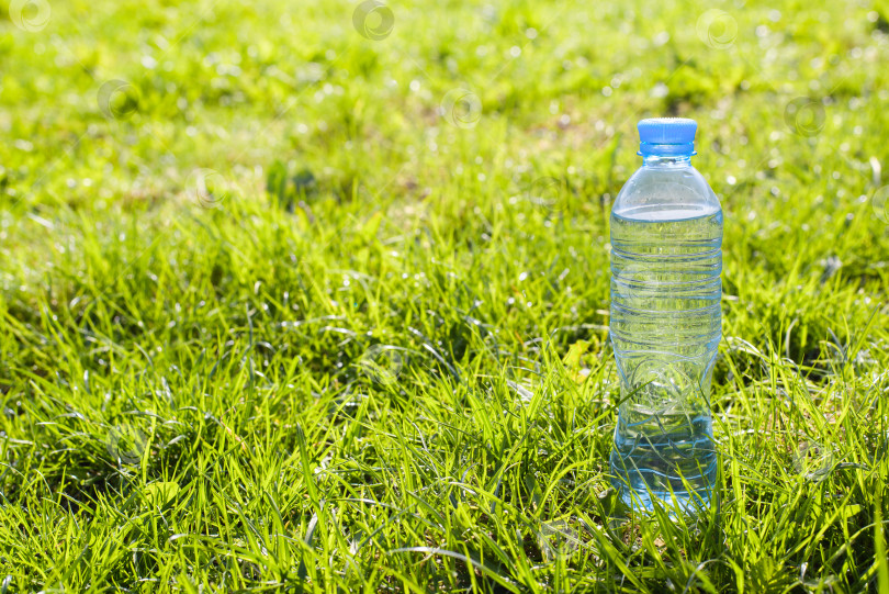 Скачать Бутылка воды на зеленой лужайке в солнечный день, скопируйте пространство. Ни одного объекта, ни людей фотосток Ozero