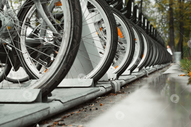 Скачать Прокат велосипедов. Крупный план колес припаркованных в ряд велосипедов на тротуаре в городе. Избирательный фокус фотосток Ozero