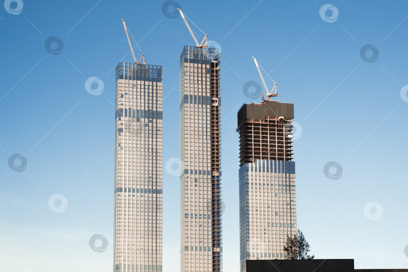 Скачать Строительство трех небоскребов на фоне ясного голубого неба. Специальные строительные краны на крыше. Строительный сектор. фотосток Ozero